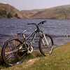 iwanthesheep avatar