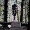 bubz902 avatar