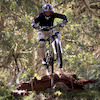 Ricardo974 avatar