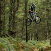 gravitybeater avatar
