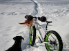 Pinkbike profile picture for @justfor