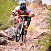 bikercat13 avatar