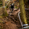 isaacanderson1 avatar