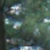Robsewell98 avatar