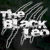 TheBlackLeo avatar