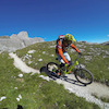 eliacattani avatar
