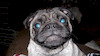 shane85 avatar