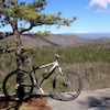 Pinkbike profile picture for @Maryland