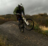 TidyWill avatar