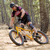 Pinkbike profile picture for @gigantic