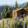 Bikepark-Serfaus-Fiss-Ladis avatar