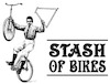 Stash-of-Bikes avatar
