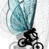 BikeGirls-Gang avatar