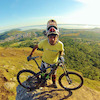 Barboza avatar