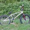 trevorjonbmxforlife avatar