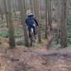 PeterNelsonMTB avatar