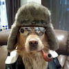 Pinkbike profile picture for @Invincible