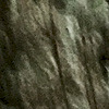 Jarrod1505 avatar