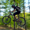 Nicolas-Roy avatar
