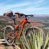 Pinkbike profile picture for @yam