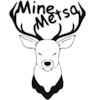 MineMetsa avatar