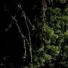 Pinkbike profile picture for @Transfusion