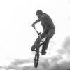 BrownBMX avatar