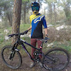 shaharp avatar