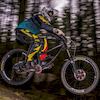 Pinkbike profile picture for @Bees