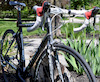 Pinkbike profile picture for @carpenter
