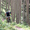 Pinkbike profile picture for @Ledge