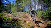 bikegiant1234 avatar