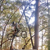 Pinkbike profile picture for @portes