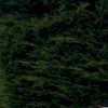 Pinkbike profile picture for @Nairobi