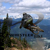 Whistlerbike avatar
