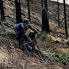 Pinkbike profile picture for @Mugged