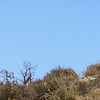 Pinkbike profile picture for @Jawbone