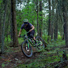 tricyclerider avatar