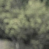 Pinkbike profile picture for @untouchable