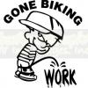 bikebuster08 avatar