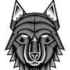WolfpackMTBc avatar