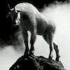 Pinkbike profile picture for @Algae