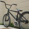bmxlife56 avatar