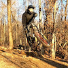 learningcycles avatar