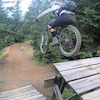 bottemout avatar