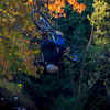 franciscogalindo avatar