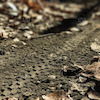 Pinkbike profile picture for @Marcia