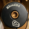shredb4dead avatar