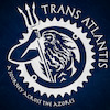 TransAtlantis avatar
