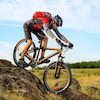 Pinkbike profile picture for @dances